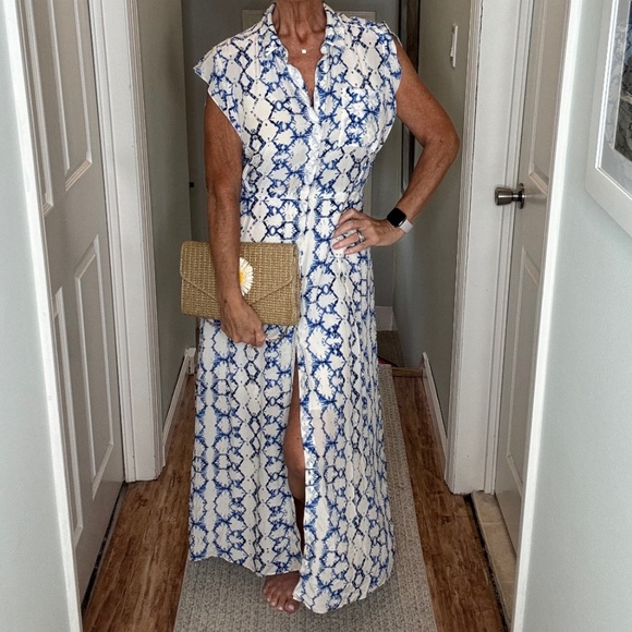 Rebecca Taylor Dresses & Skirts - Rebecca Taylor Silk Maxi Dress Button Front Short Flutter Sleeve Blue White Sz 8